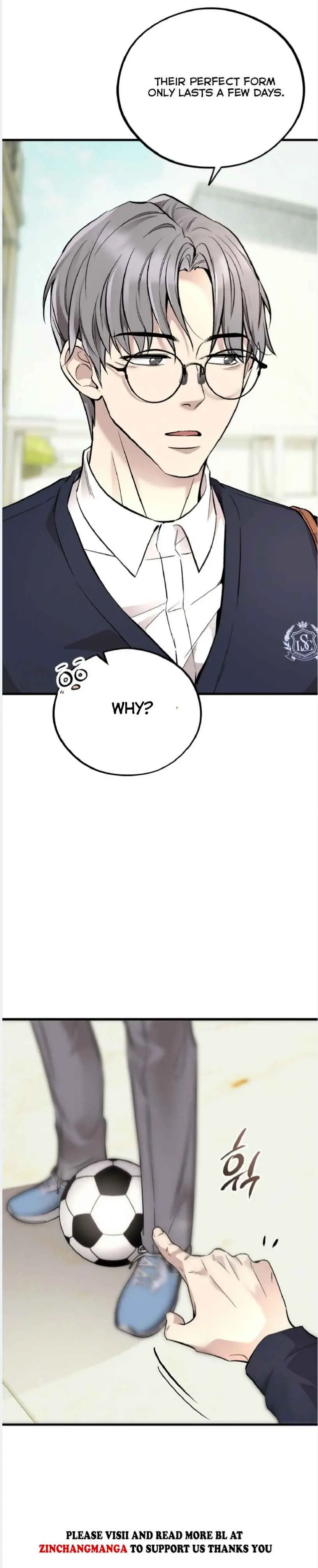 Honey Bear - Chapter 70 Page 15