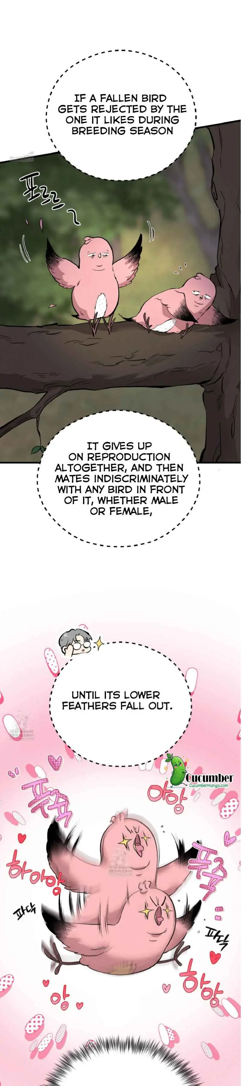 Honey Bear - Chapter 82 Page 17