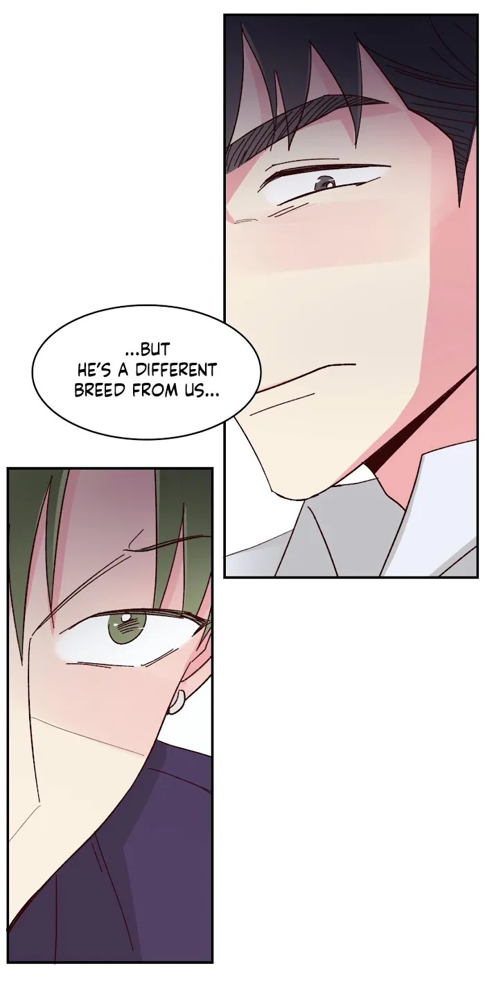 Director’s Dessert - Chapter 58 Page 28