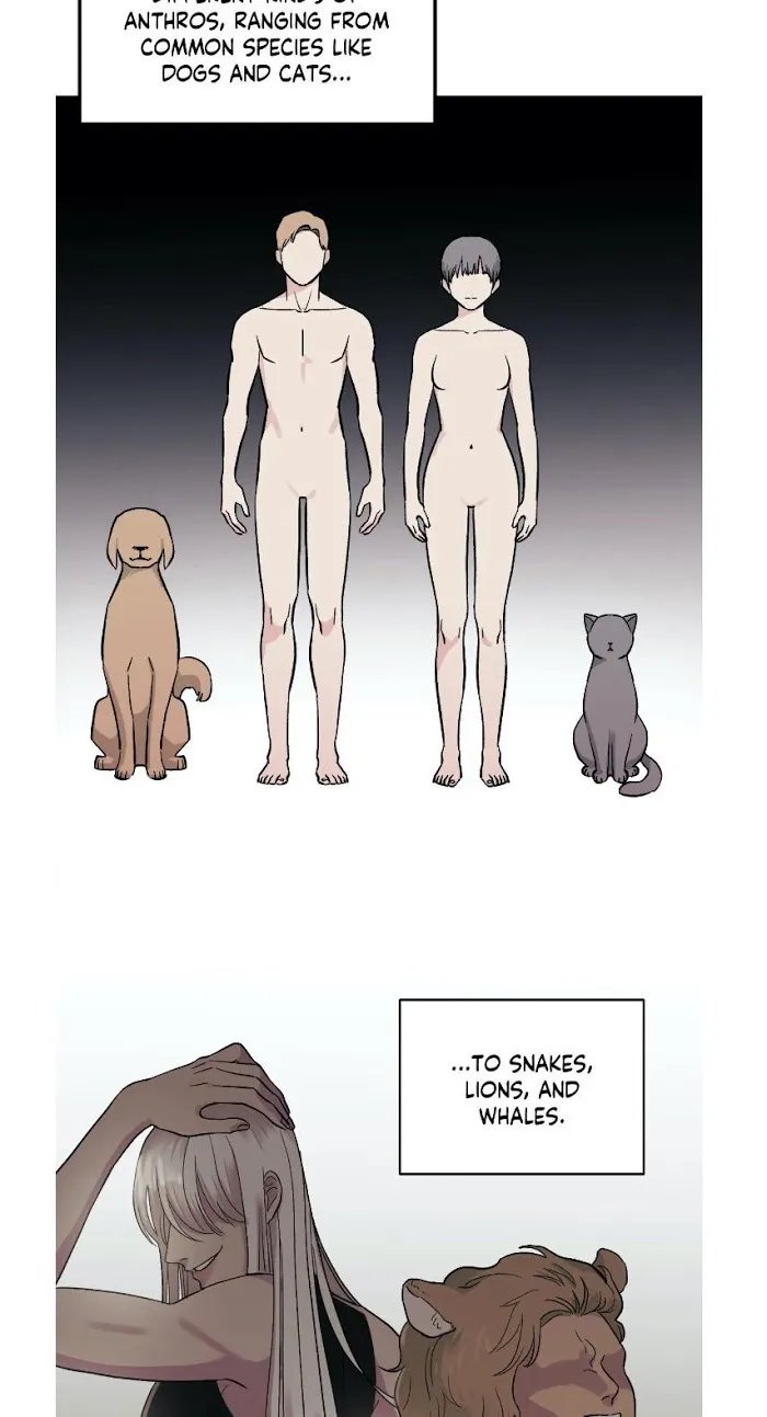 My Purrfect Boss! - Chapter 2 Page 3