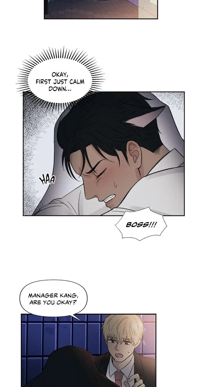 My Purrfect Boss! - Chapter 2 Page 19