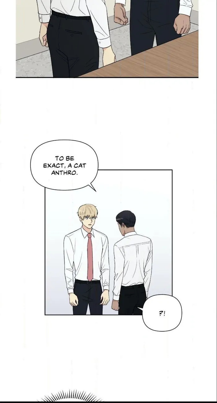 My Purrfect Boss! - Chapter 3 Page 15