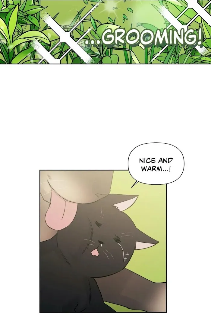 My Purrfect Boss! - Chapter 37 Page 34