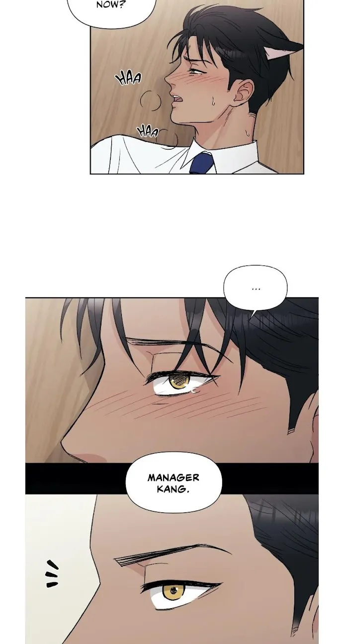My Purrfect Boss! - Chapter 6 Page 12