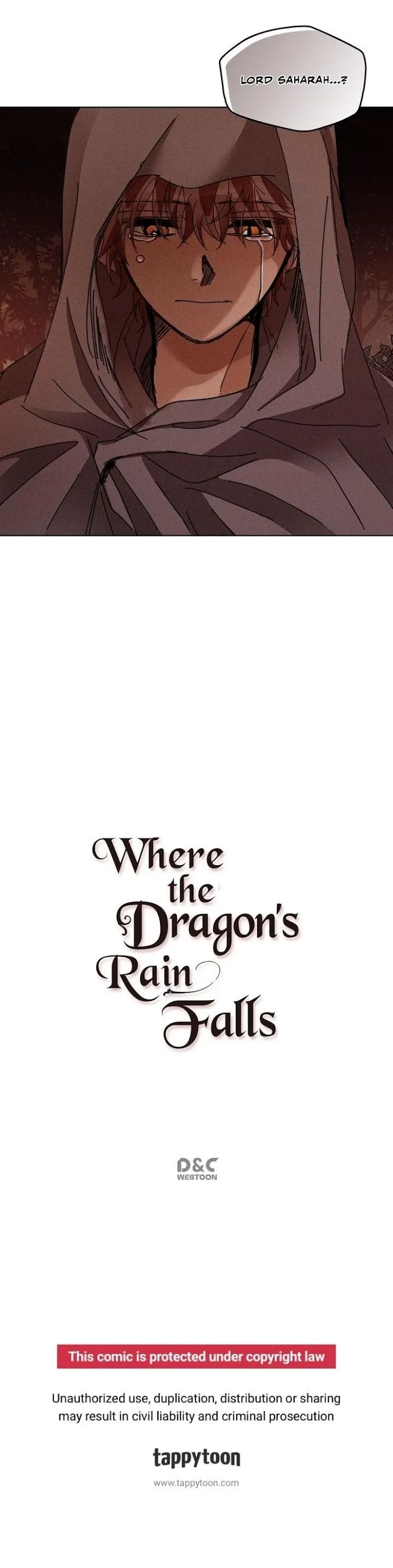 Where The Dragon’s Rain Falls - Chapter 120 Page 20