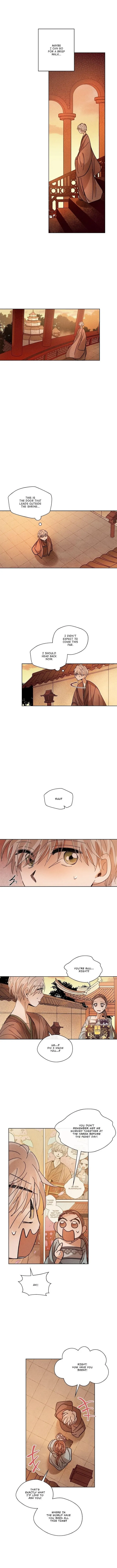 Where The Dragon’s Rain Falls - Chapter 162 Page 6