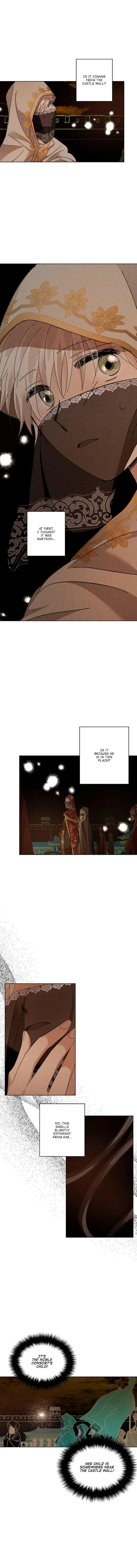 Where The Dragon’s Rain Falls - Chapter 167 Page 7