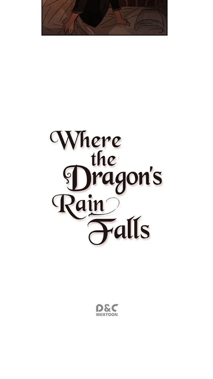Where The Dragon’s Rain Falls - Chapter 17 Page 40