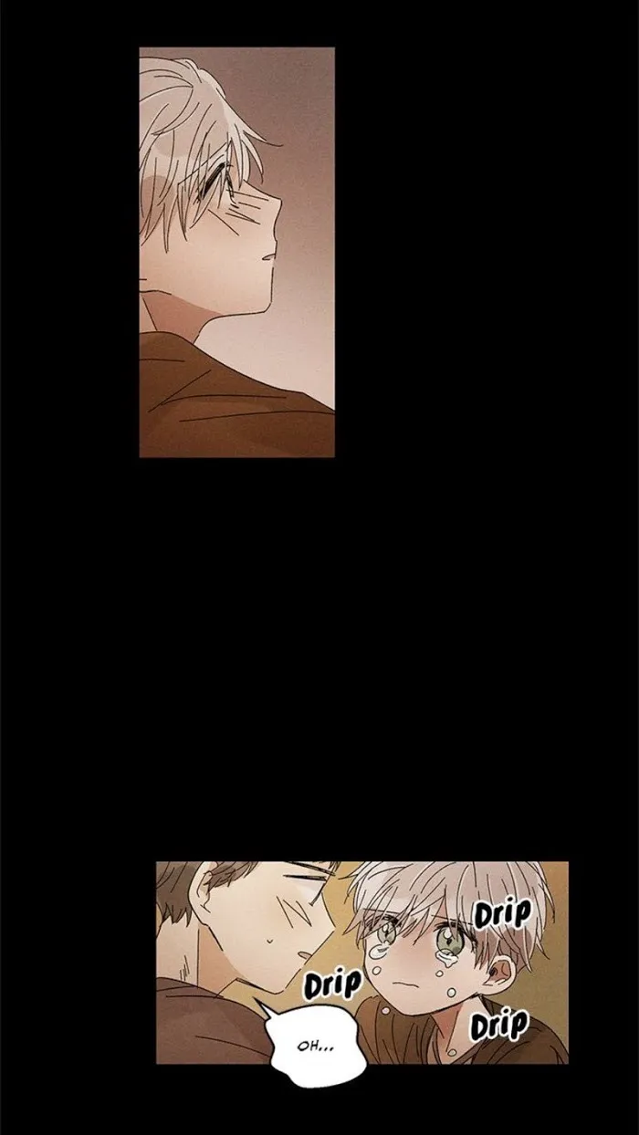 Where The Dragon’s Rain Falls - Chapter 28 Page 19