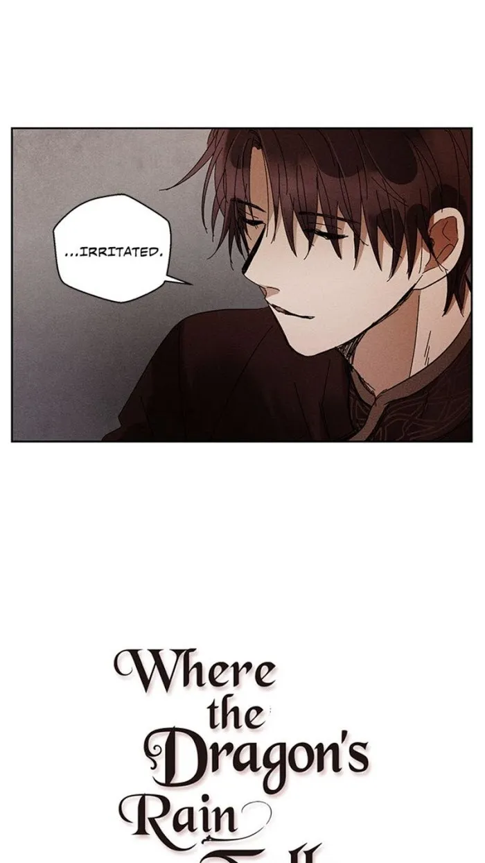 Where The Dragon’s Rain Falls - Chapter 31 Page 33