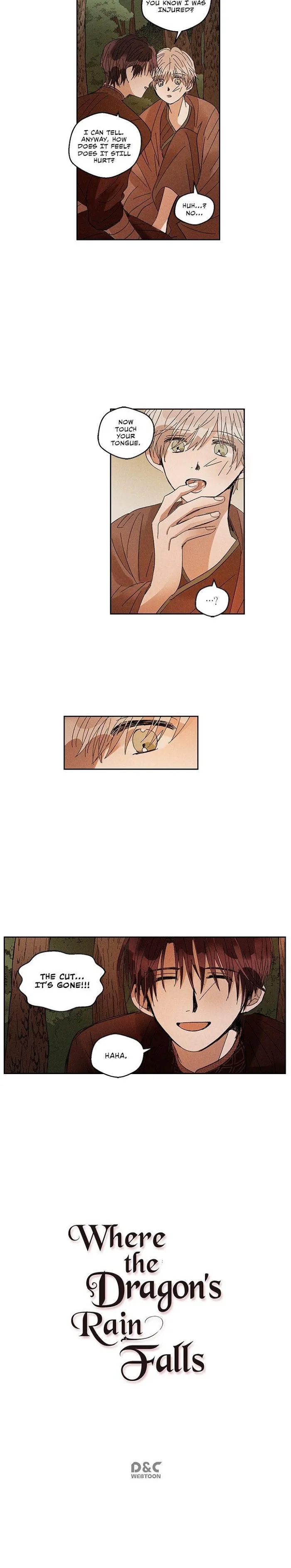 Where The Dragon’s Rain Falls - Chapter 33 Page 12
