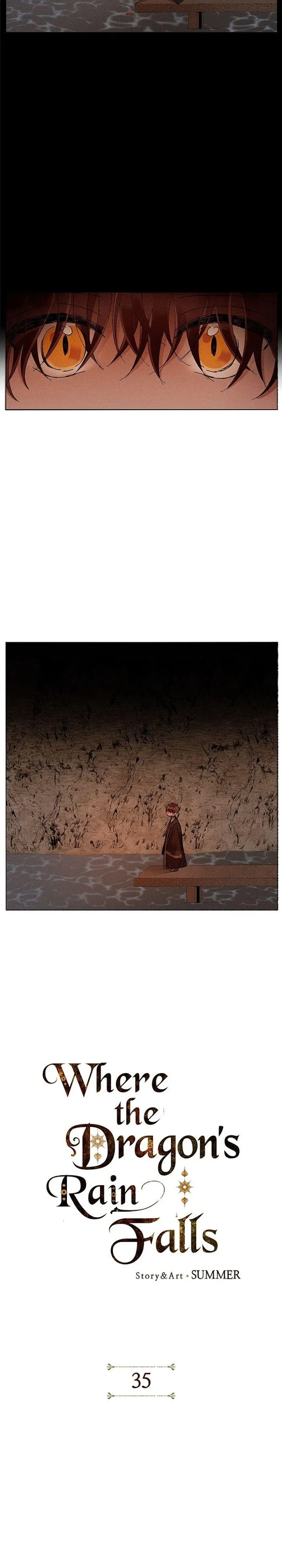 Where The Dragon’s Rain Falls - Chapter 35 Page 3