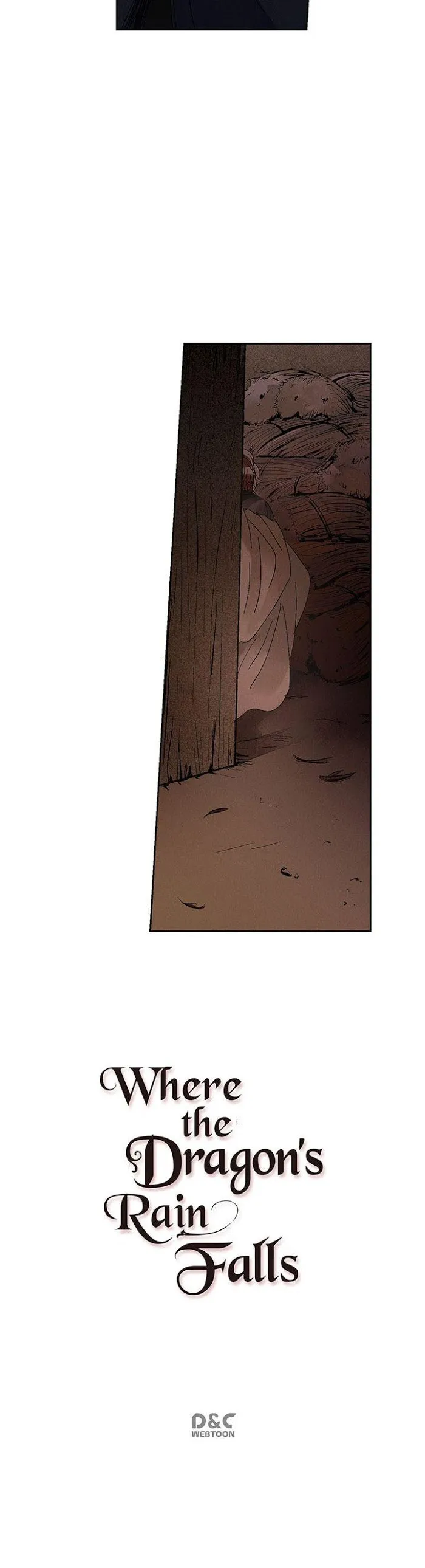 Where The Dragon’s Rain Falls - Chapter 4 Page 11