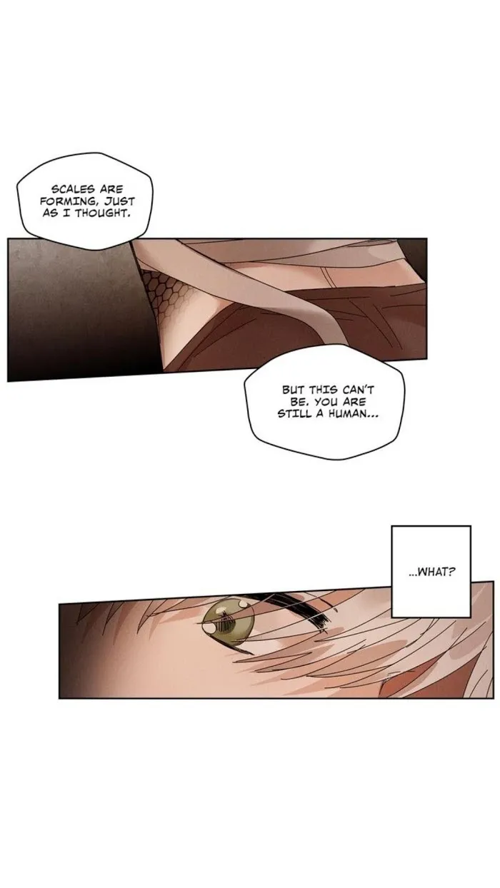 Where The Dragon’s Rain Falls - Chapter 80 Page 5