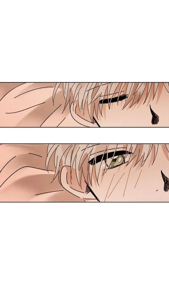 Where The Dragon’s Rain Falls - Chapter 91 Page 4