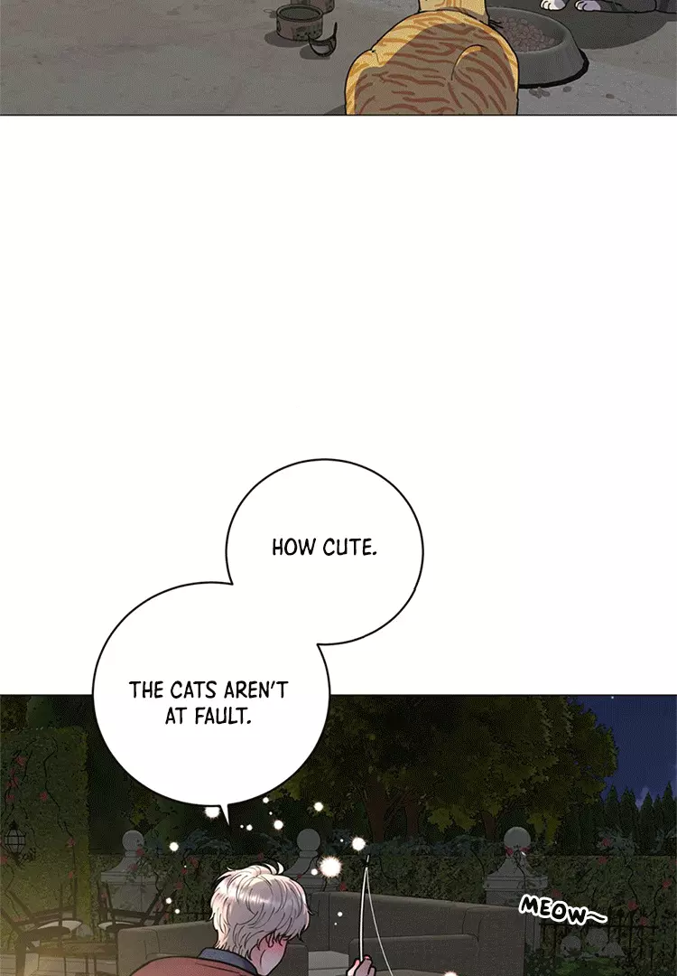 Illusion Blessing - Chapter 8 Page 35