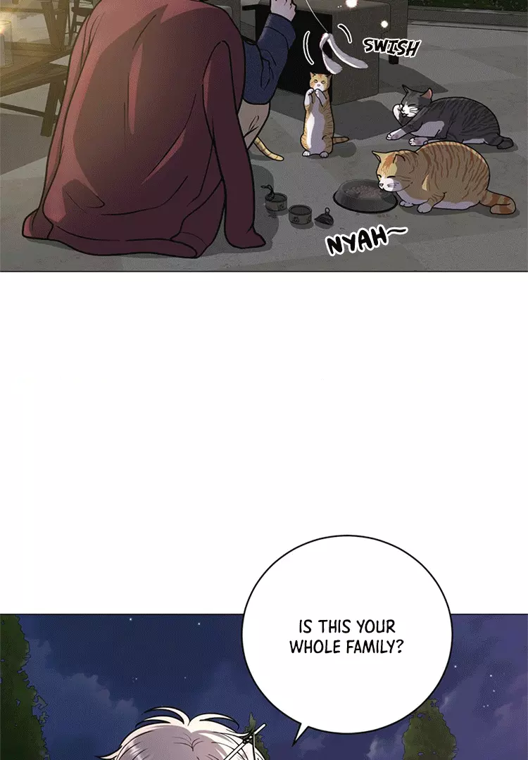 Illusion Blessing - Chapter 8 Page 36