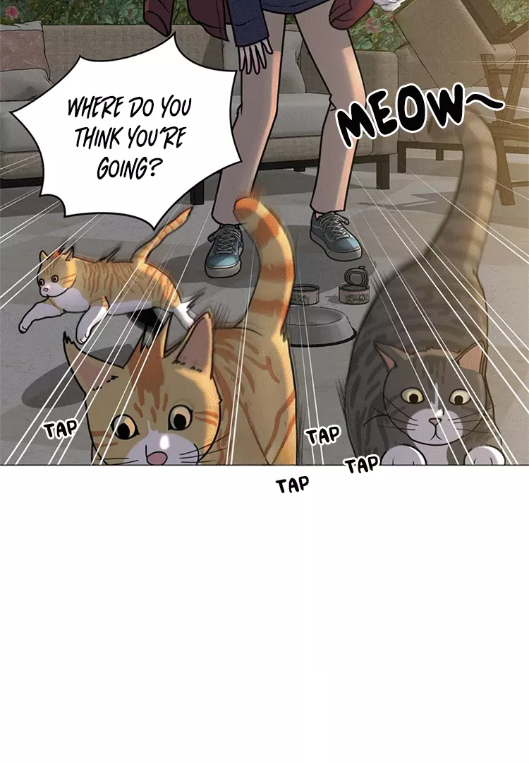 Illusion Blessing - Chapter 8 Page 52