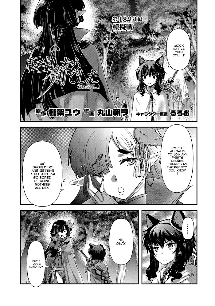 Tensei Shitara Ken Deshita - Chapter 18 Page 14
