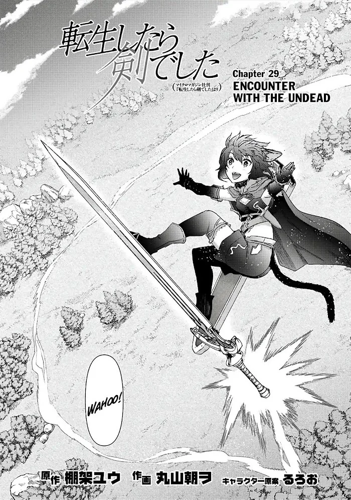 Tensei Shitara Ken Deshita - Chapter 29 Page 2