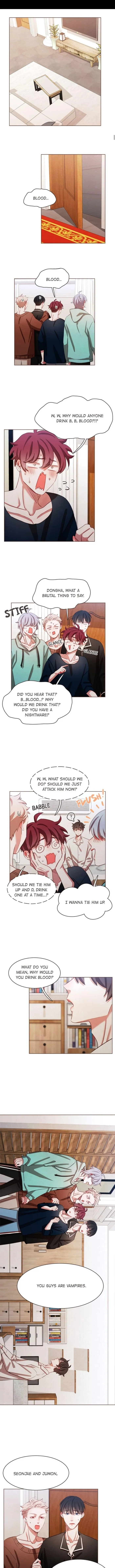 No Way, Vampires Don’t Exist - Chapter 13 Page 5
