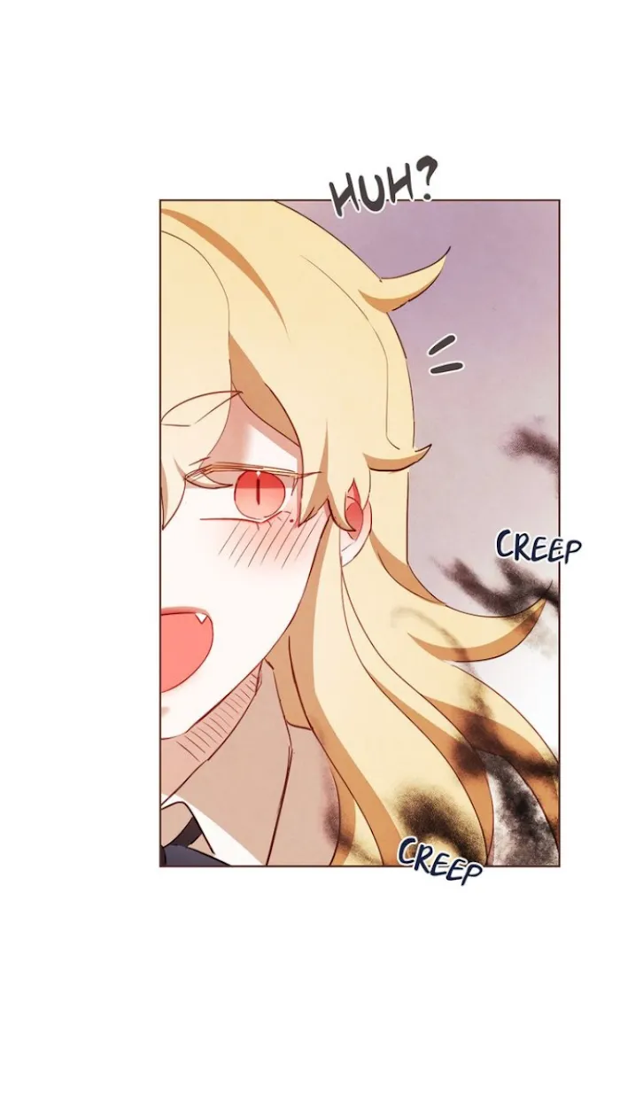 No Way, Vampires Don’t Exist - Chapter 60 Page 35