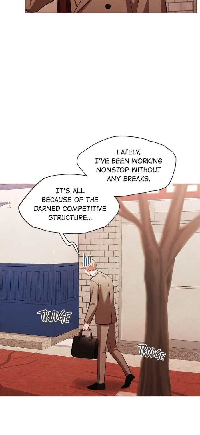 No Way, Vampires Don’t Exist - Chapter 69 Page 12