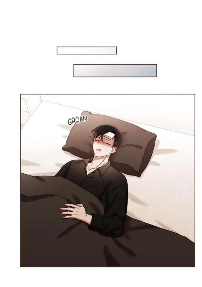 No Way, Vampires Don’t Exist - Chapter 77 Page 41
