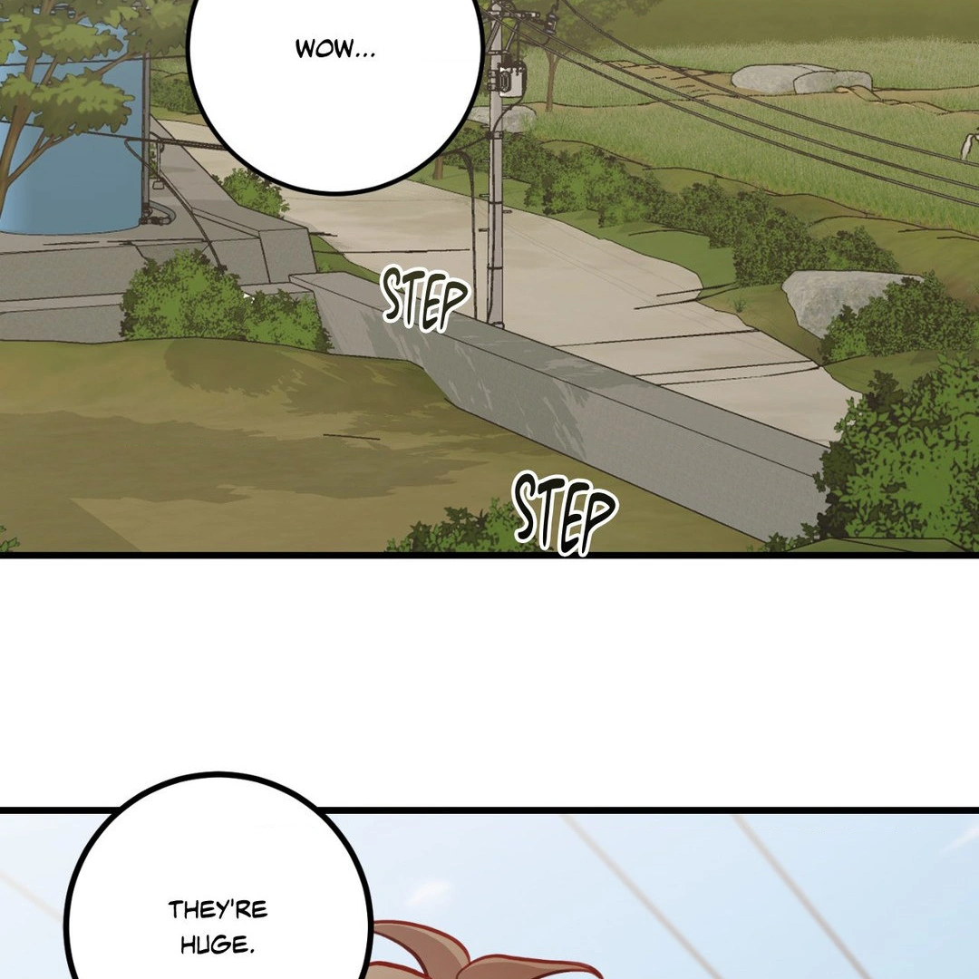 When Pear Blossoms Bloom - Chapter 14 Page 82