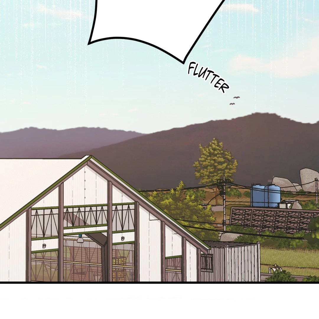 When Pear Blossoms Bloom - Chapter 15 Page 11