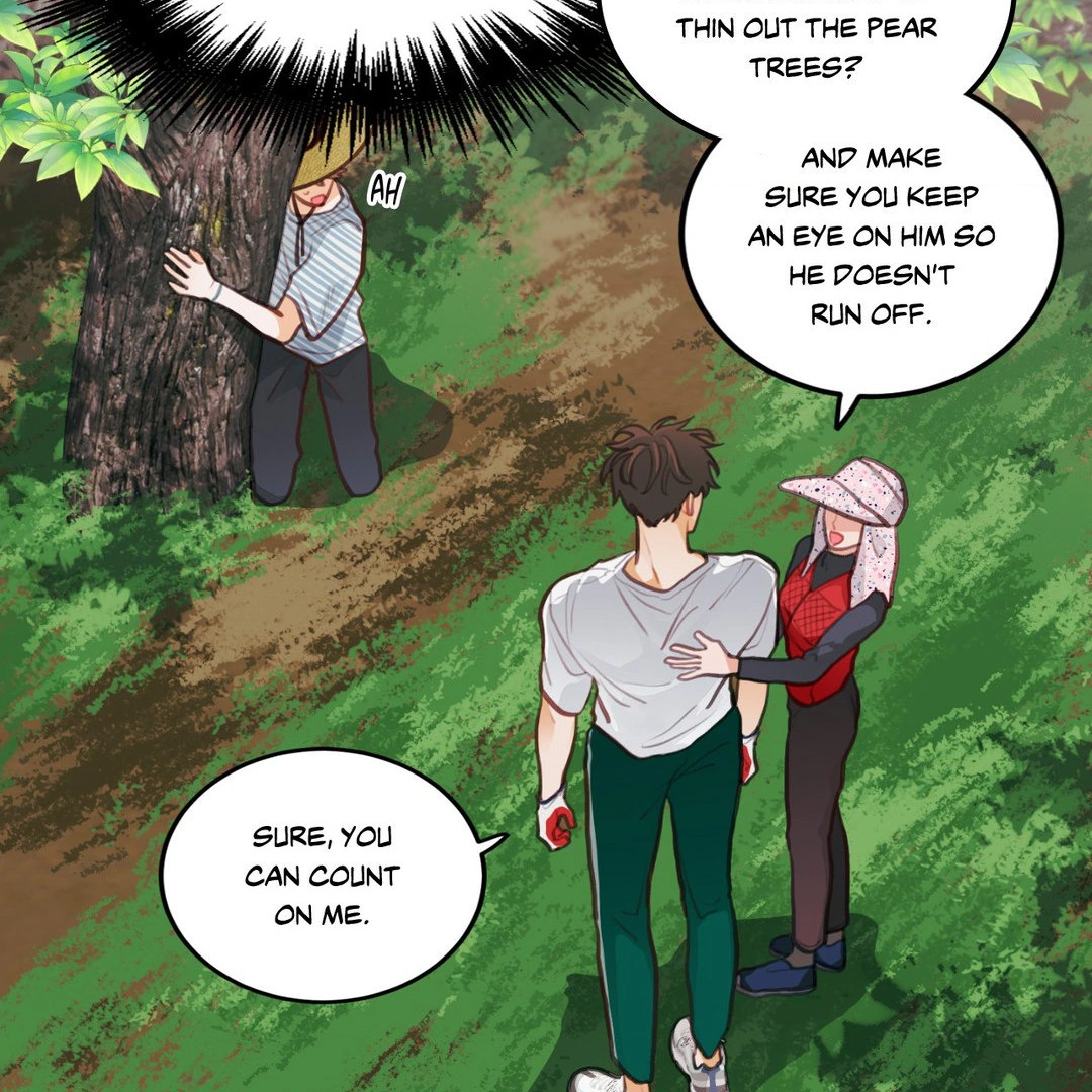 When Pear Blossoms Bloom - Chapter 16 Page 41