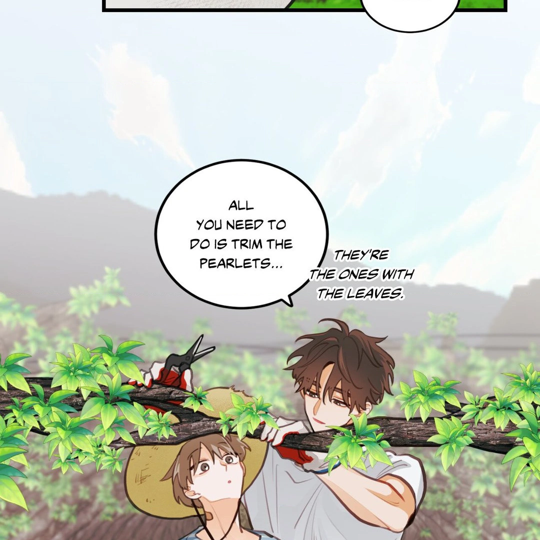 When Pear Blossoms Bloom - Chapter 16 Page 50