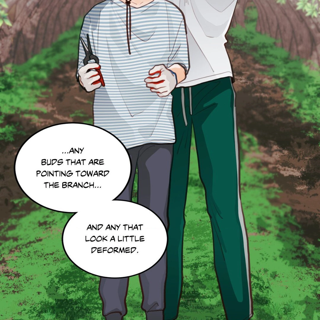 When Pear Blossoms Bloom - Chapter 16 Page 51