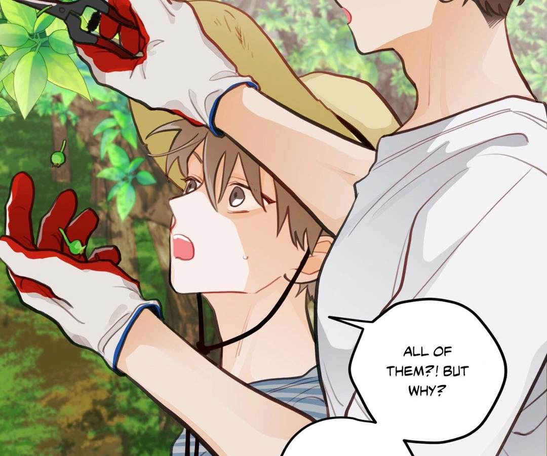 When Pear Blossoms Bloom - Chapter 16 Page 53