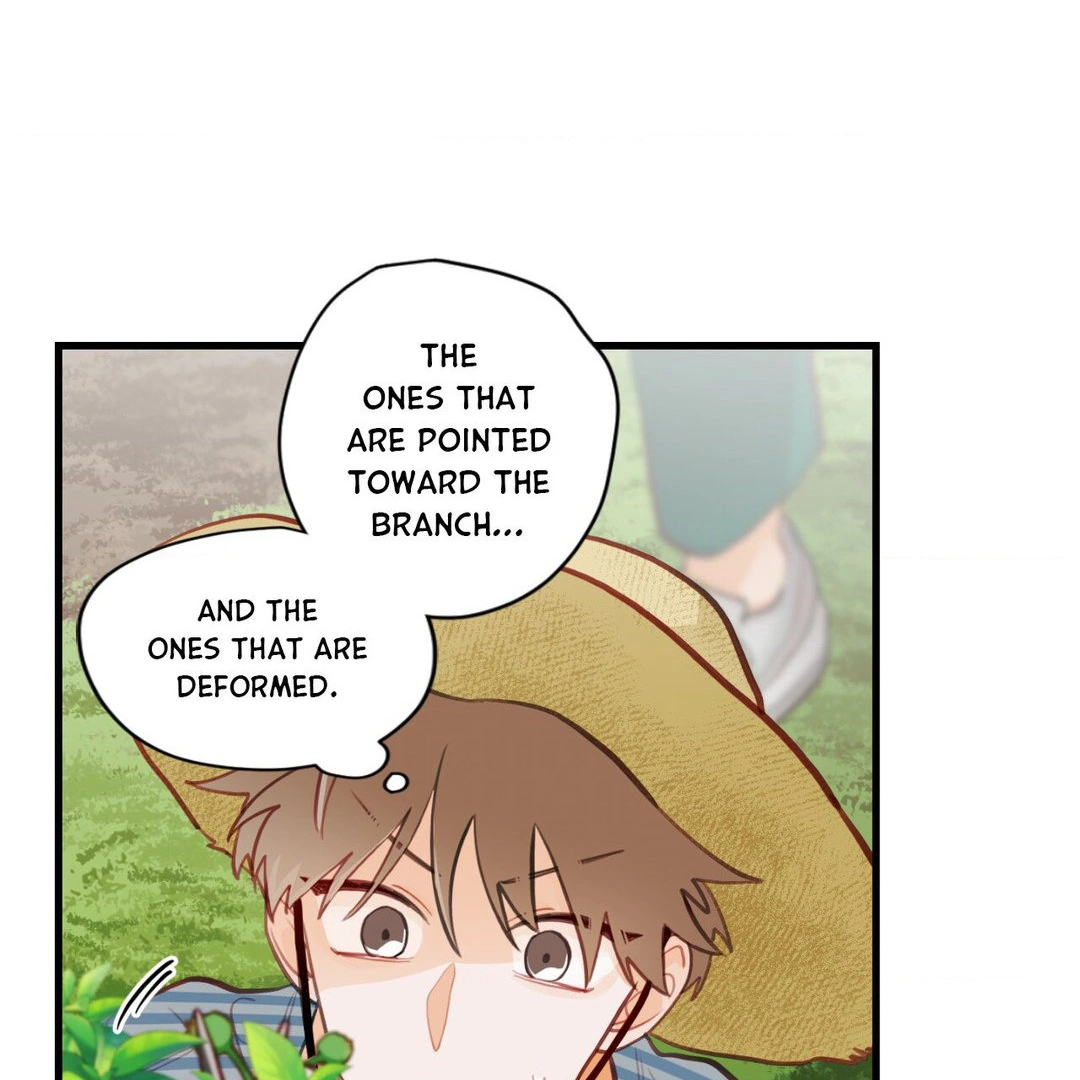 When Pear Blossoms Bloom - Chapter 16 Page 57