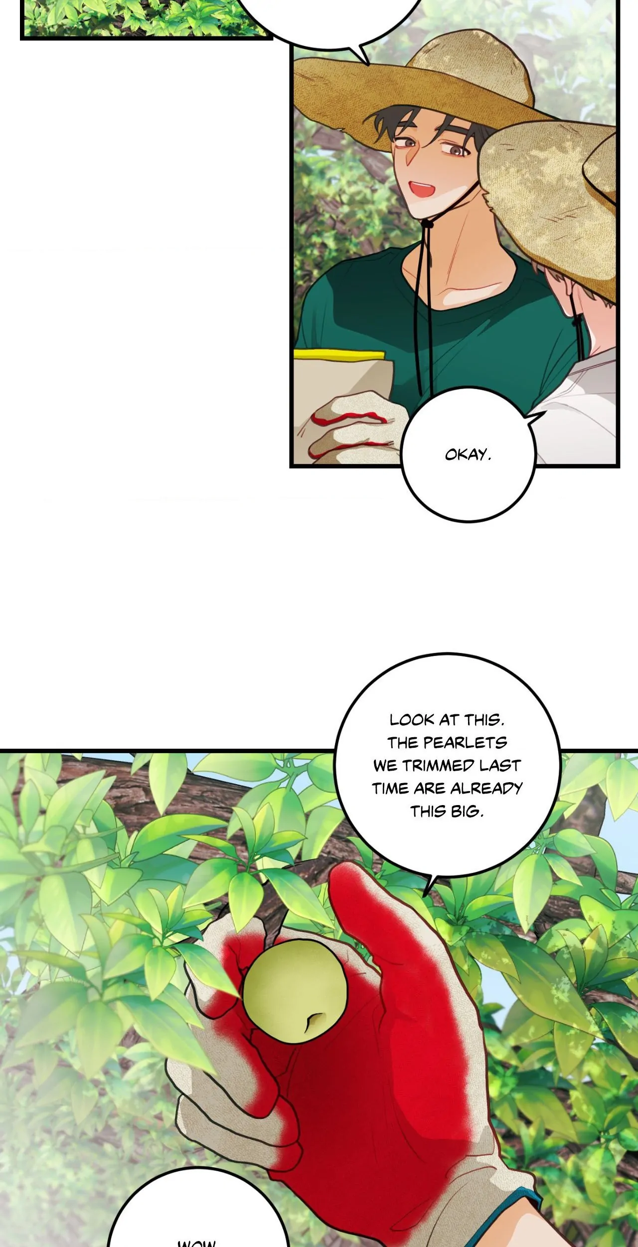 When Pear Blossoms Bloom - Chapter 35 Page 2
