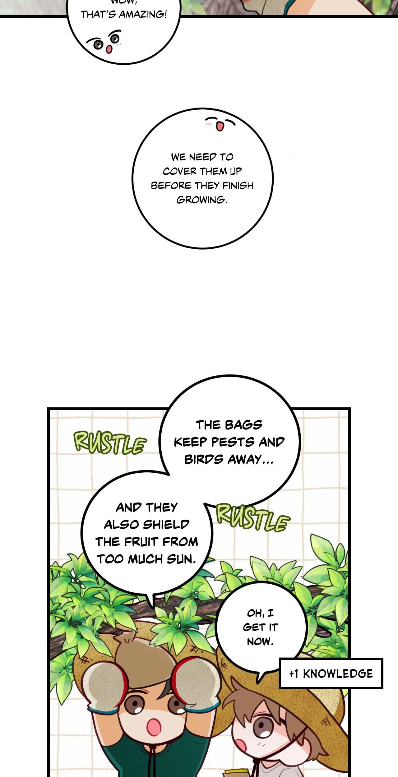 When Pear Blossoms Bloom - Chapter 35 Page 3