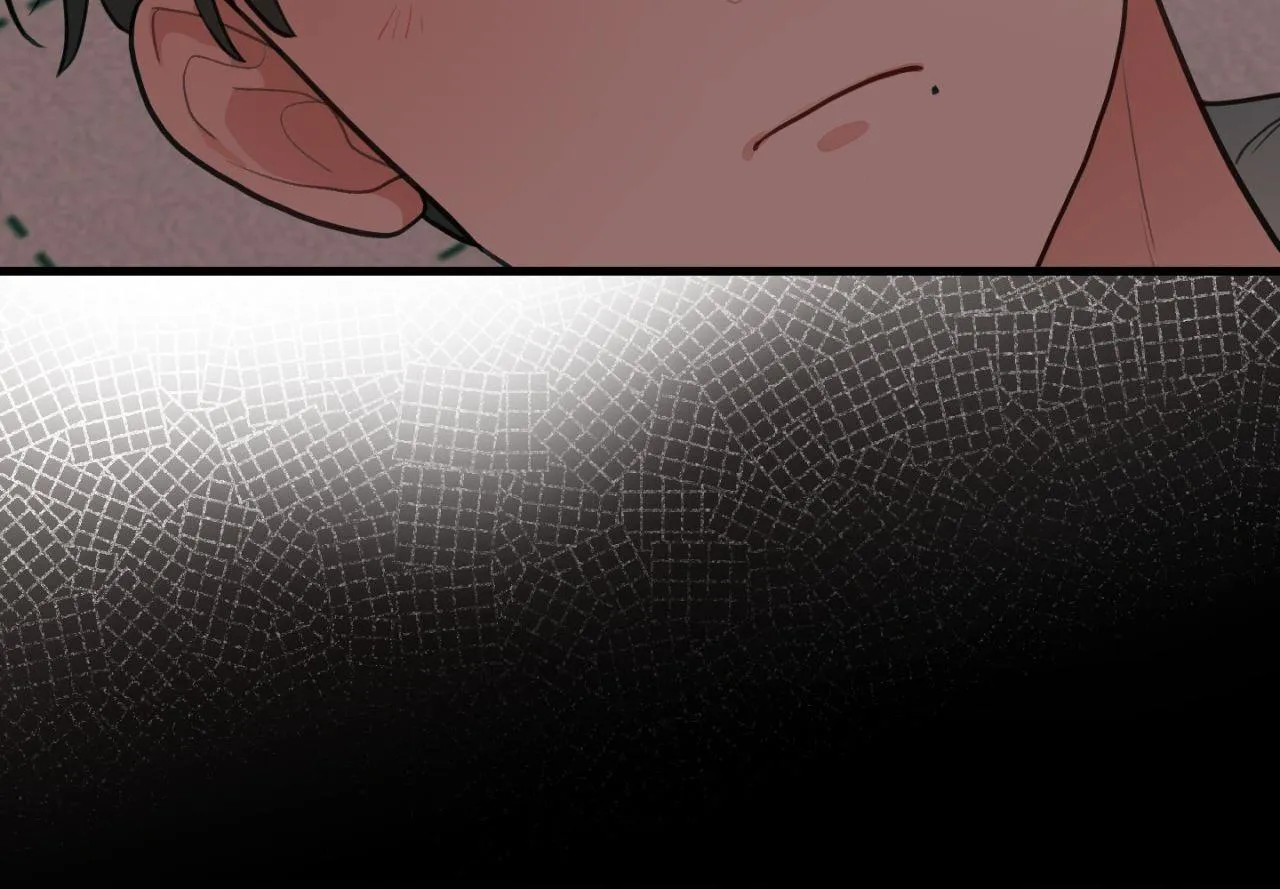 When Pear Blossoms Bloom - Chapter 62 Page 19