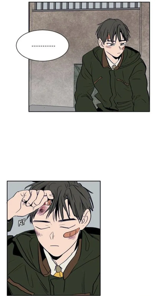 Someone Else’s Bl Manhwa - Chapter 25 Page 65