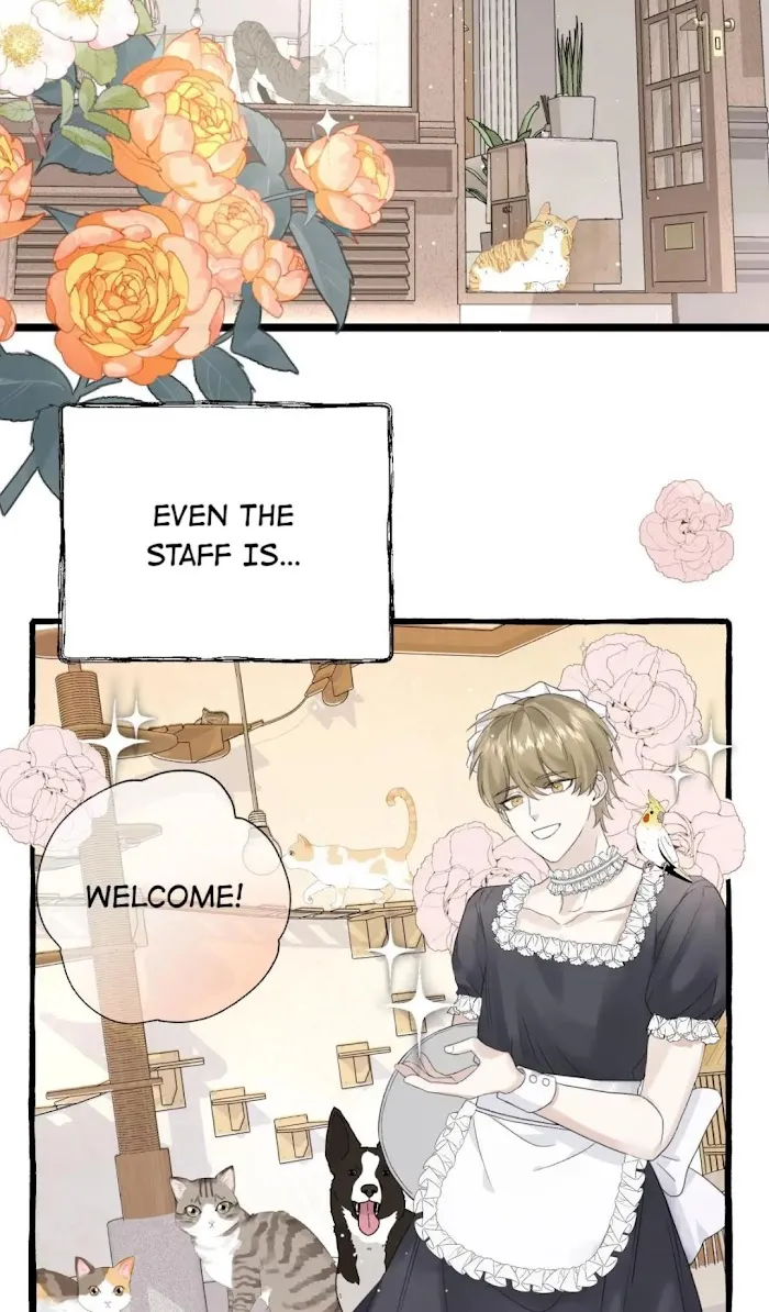 Baby Come On!! - Chapter 16 Page 6