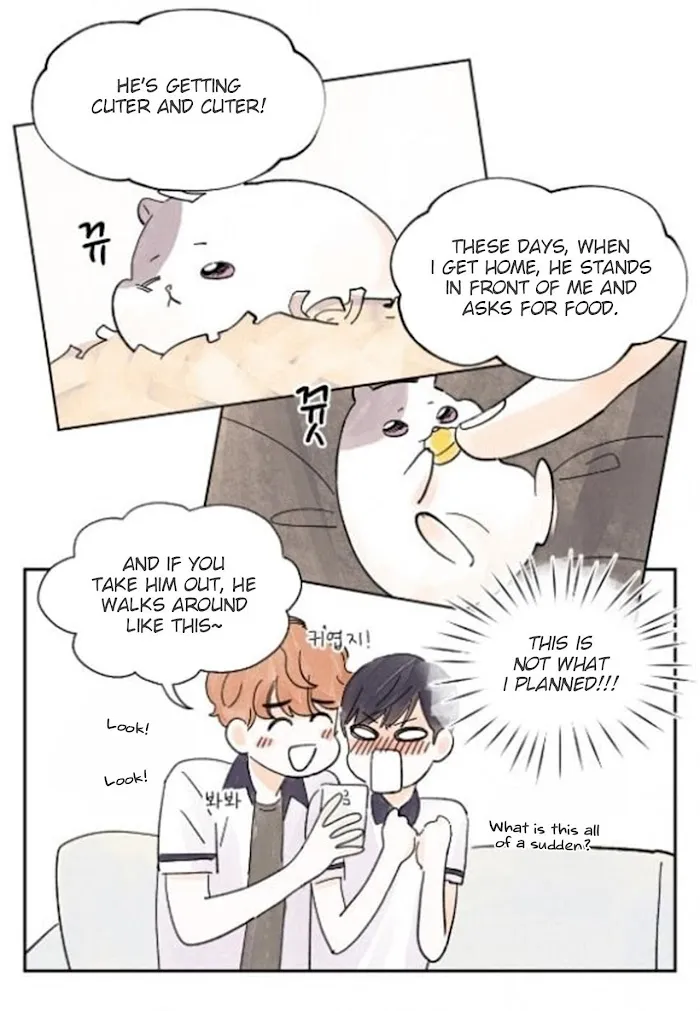 Kisses X Kiss X Kisses - Chapter 17 Page 12