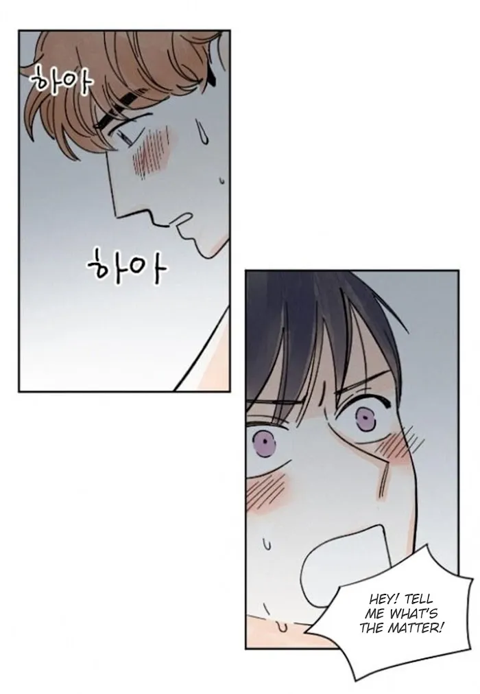 Kisses X Kiss X Kisses - Chapter 18 Page 19