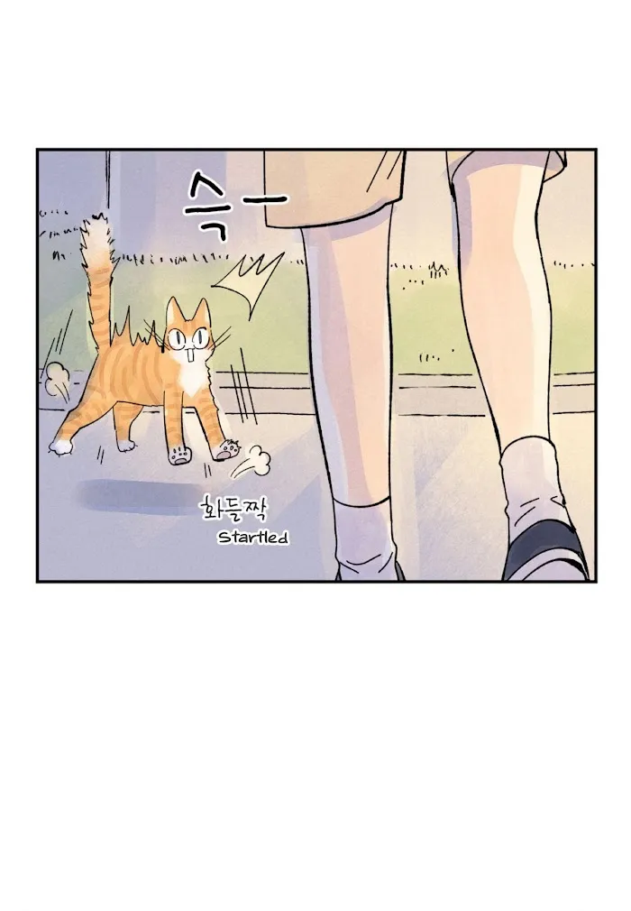 Kisses X Kiss X Kisses - Chapter 28 Page 18