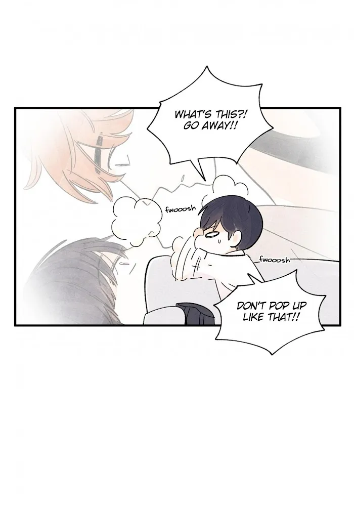Kisses X Kiss X Kisses - Chapter 43 Page 12
