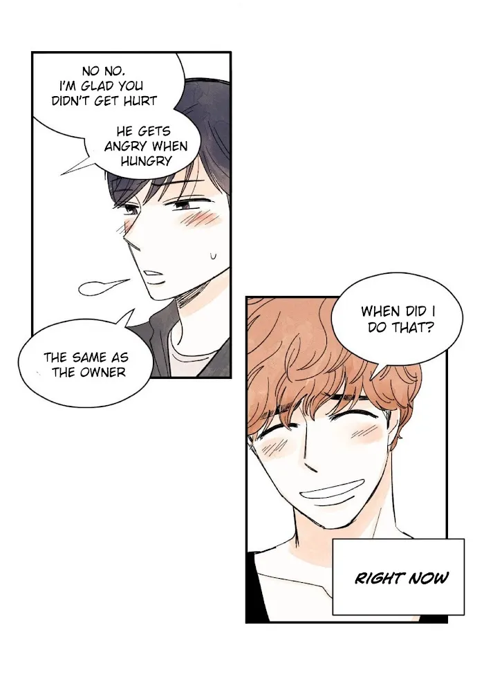 Kisses X Kiss X Kisses - Chapter 5 Page 36