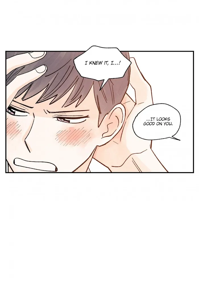 Kisses X Kiss X Kisses - Chapter 53 Page 36