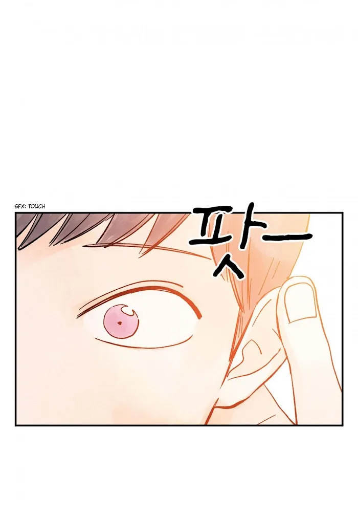 Kisses X Kiss X Kisses - Chapter 53 Page 37