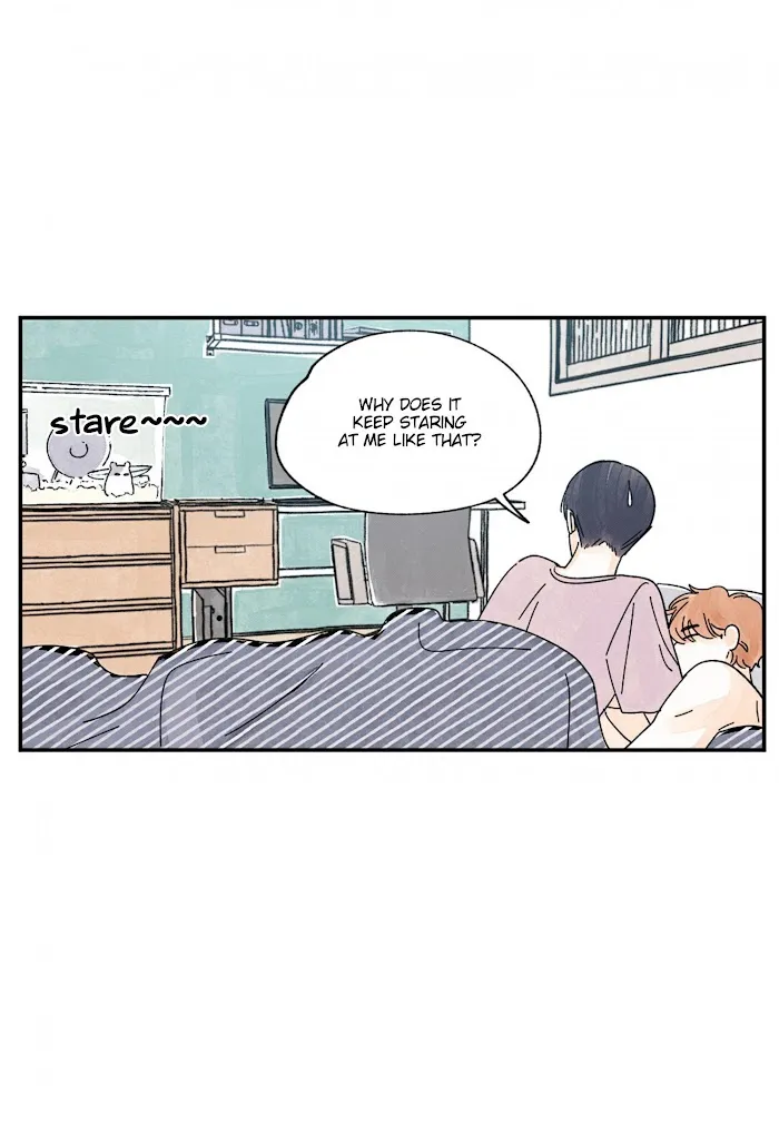 Kisses X Kiss X Kisses - Chapter 70 Page 14