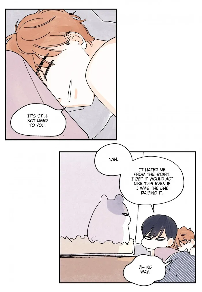 Kisses X Kiss X Kisses - Chapter 70 Page 15