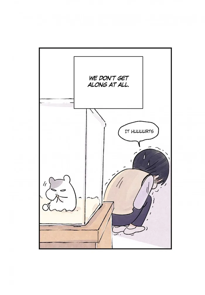 Kisses X Kiss X Kisses - Chapter 70 Page 21